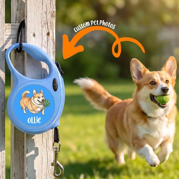 Personalized Pet Portrait Retractable Dog Leash with Name, Puppy Collar Leash, Pet Accessory, Birthday/Christmas Gift for Pet Lovers/Dog Owners